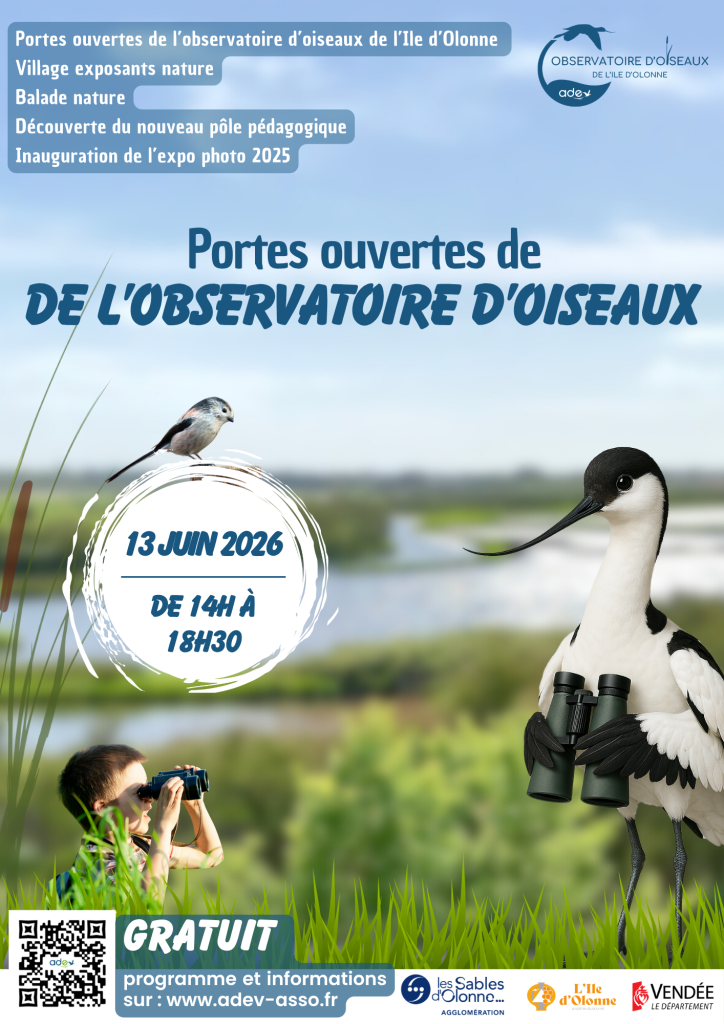 Au cœur des marais, un observatoire à oiseaux ouvre ses portes.