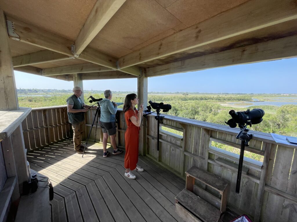 Cet été, l&rsquo;observatoire d&rsquo;oiseaux à l&rsquo;Île d&rsquo;Olonne cherche des bénévoles.