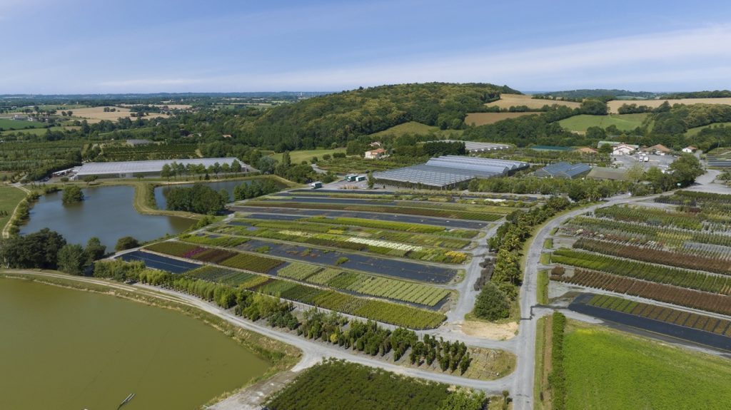 Quels arbres planter chez nous pour tenir les prochaines canicules