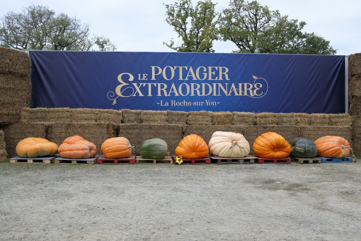 Dimanche, La Roche-sur-Yon pèse les plus gros potirons de France