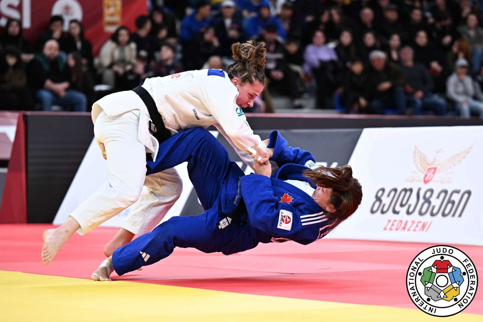 Les Championnats de France de judo au Vendéspace : la billetterie est ouverte