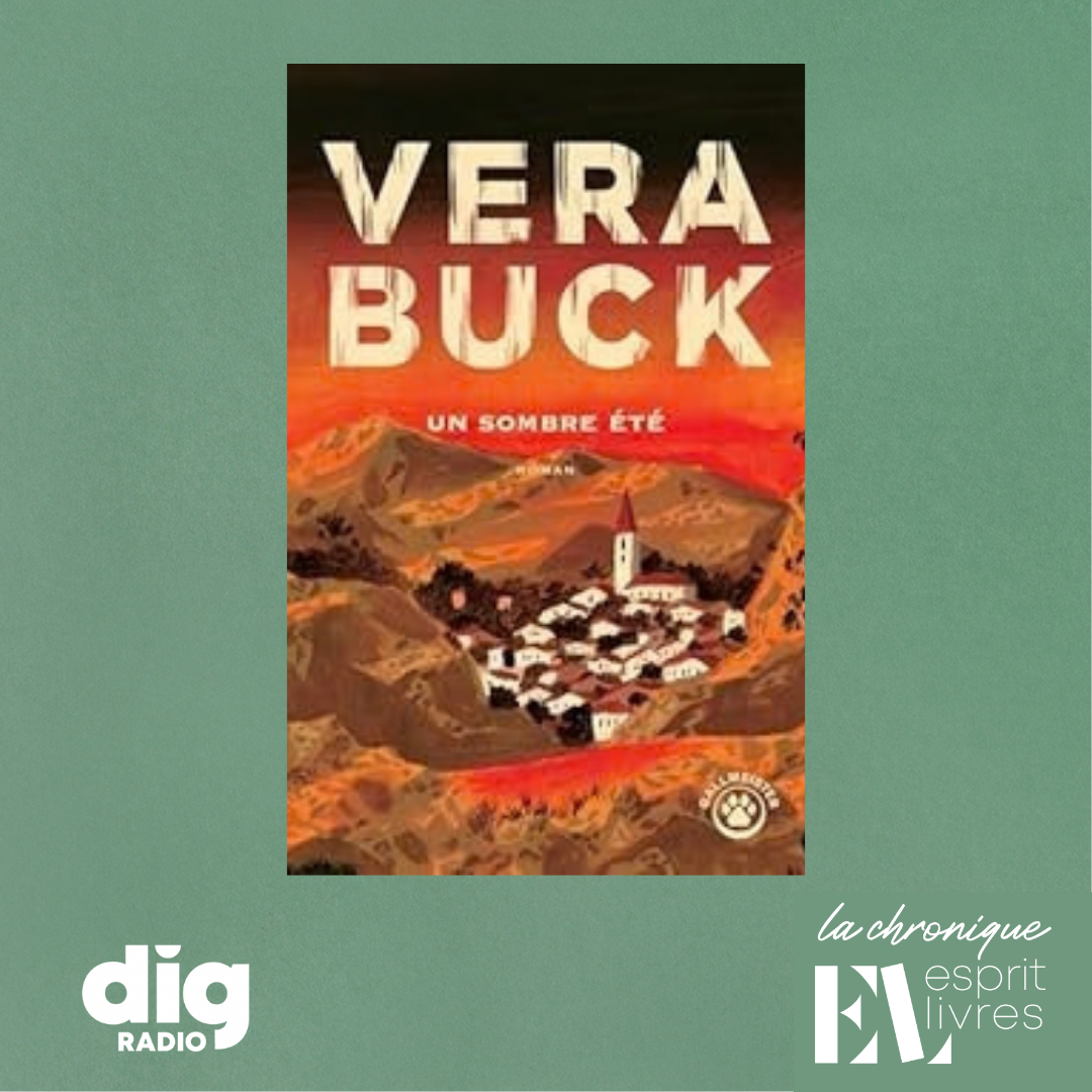 Chronique N°10 : UN SOMBRE ÉTÉ de Vera Buck