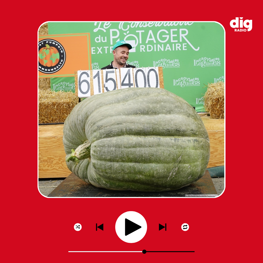 Episode : Le Potager Extraordinaire accueille la 31ᵉ édition du Concours National des Fruits et Légumes Géants