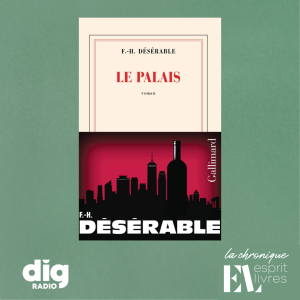 Chronique N°17 : LE PALAIS de François-Henri Désérable