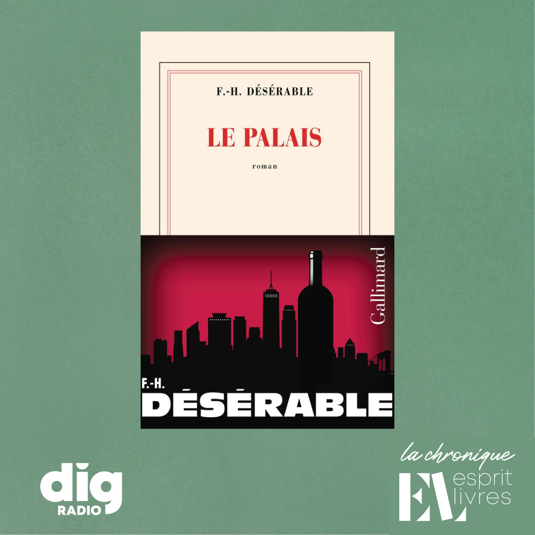 Episode : Chronique N°17 : LE PALAIS de François-Henri Désérable